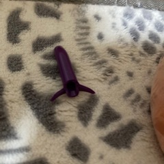 ロレッタブラックトリートメントの画像