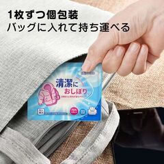 衣類用 汚れ落とし ウェットシート 30枚入 個包装 携帯用 使い捨て シミ抜き 水性/油汚れ 繊維を傷めない 水不要 外出 応急処置 旅行 コンパクト 持ち運び 便利の画像