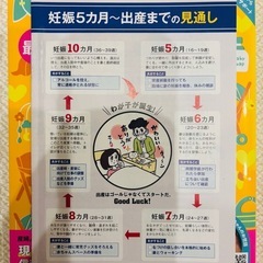 あんしん、やさしい最新妊娠・出産オールガイドの画像