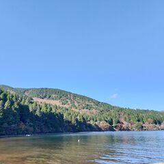 Hakone Walk 箱根さんぽ - 友達