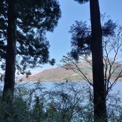 Hakone Walk 箱根さんぽ - 小田原市