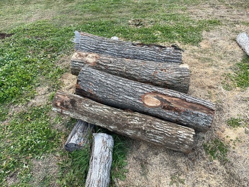 楢原木　ナラ原木　薪用原木　１m3 長野県発