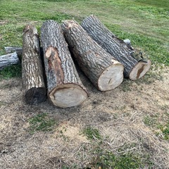 楢原木　ナラ原木　薪用原木　１m3 長野県発　の画像