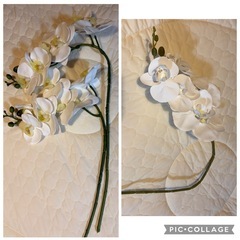 ユーカリ 胡蝶蘭 フェイクグリーン フェイクフラワー　テーブルランナー　結婚式 ブライダル インテリア 造花 観葉植物の画像