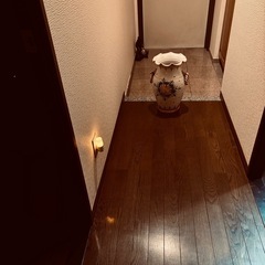 イタリア製陶器の傘立ての画像