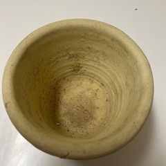 鉢の画像
