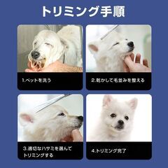 ペット トリミングシザー 7点セット 犬 トリミングハサミ 丸い刃先 安全 スキバサミ カーブバサミ 抜け毛 コーム 初心者 トリマー 簡単 小型犬 中型犬 持ち運びの画像