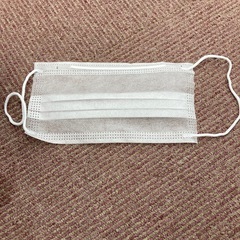 【お得】【激安】高級二層マスクの画像