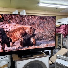 Panasonic TH-55GZ2000 55型 有機ELテレビ フラッグシップモデルの画像