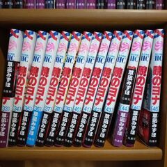 ※当方の自宅近くまで取りに来れる方限定※　暁のヨナ　1〜46巻　セットの画像