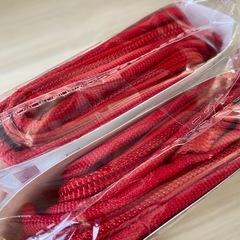 保冷バック2つセットの画像