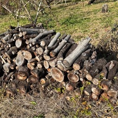 薪ストーブ、キャンプ用木材
の画像