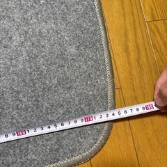 ホットカーペットの画像