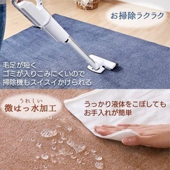 クッションラグ　85 x 120cmの画像