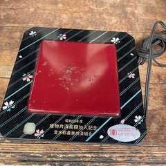 電気保温トレーの画像