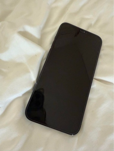 その他 iphone12 pro max