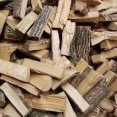 乾燥薪の画像