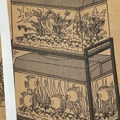 GEX 60cm水槽用2段台
の画像