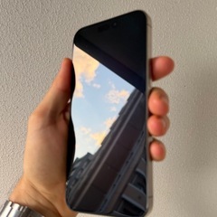 iPhone 15 Pro Max 256GB シルバーの画像