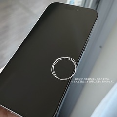 【美品】 iPhone 16 Pro ホワイトチタニウム 256GB 6月購入の画像