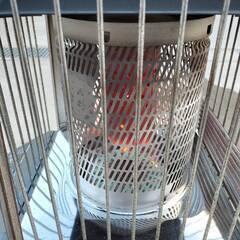 ダイニチ FMシリーズ FM-811 ブルーヒーター 石油ストーブの画像