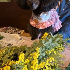 リース教室　堺市　浅香山　ワークショップ　の画像