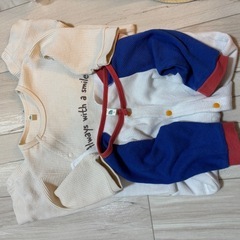 新生児から70㌢の画像