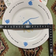 皿 5枚の画像