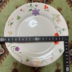 皿 5枚の画像