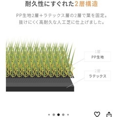 人工芝 
の画像
