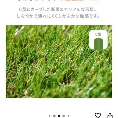 人工芝 
の画像