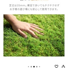 人工芝 
の画像