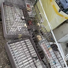 ペットケージの画像