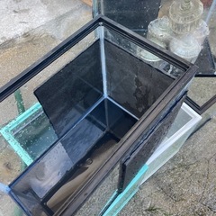 30センチ水槽5個最終値下げの画像