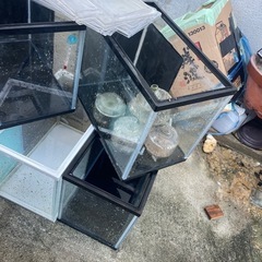30センチ水槽5個最終値下げの画像