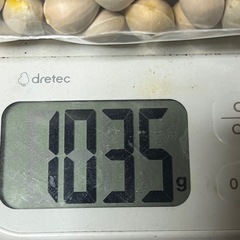 ぎんなん 銀杏 1kgの画像