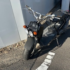 ズーマー50の画像