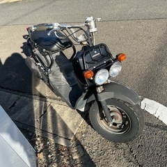 ズーマー50の画像