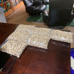 ギンナンの画像