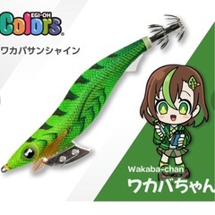 新品。ヤマシタ エギ王K 3.5号 Colors 限定カラー ワカバちゃん バブしゃん早いもん勝ちです。の画像