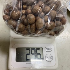 ムカゴ　約300gの画像