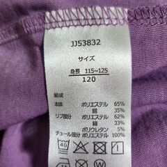 ラプンツェル 半袖ワンピース サイズ:120の画像