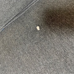 購入者決定しました!!の画像