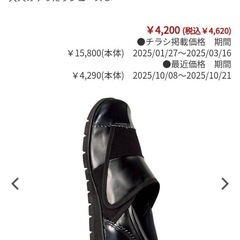 大人のゆったりシューズ24.5cm  
の画像