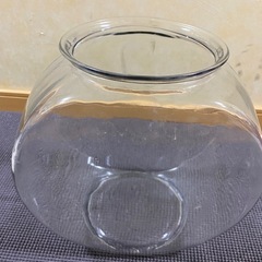 金魚鉢　チンチラ砂浴び　の画像