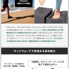 サンド　ステッパーの画像