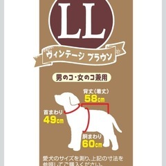 ペット用レインコートLLの画像