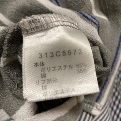 GoldenBear　メンズシャツ　の画像