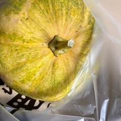 パンプキンの画像