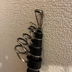 タマンモンスター　10号の画像